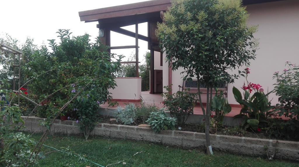 Diaccialone Agriturismo Collelungo Di Maremma מראה חיצוני תמונה