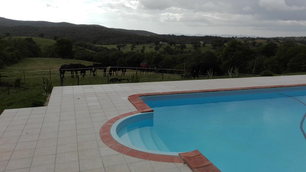 Diaccialone Agriturismo Collelungo Di Maremma מראה חיצוני תמונה