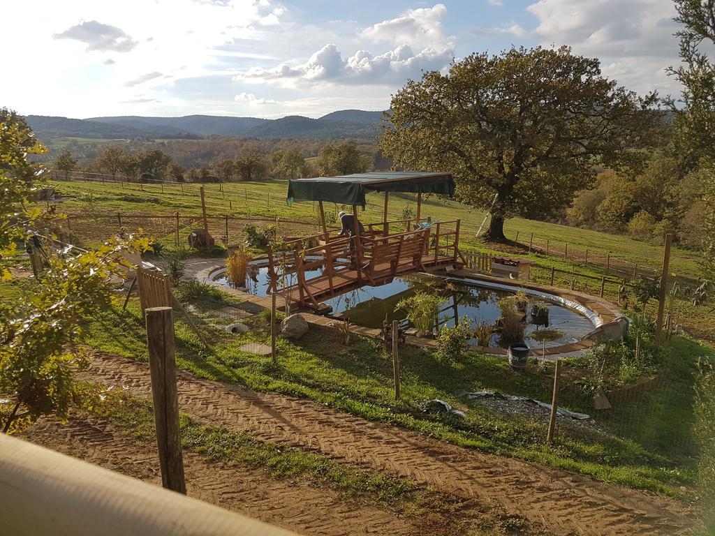 Diaccialone Agriturismo Collelungo Di Maremma מראה חיצוני תמונה